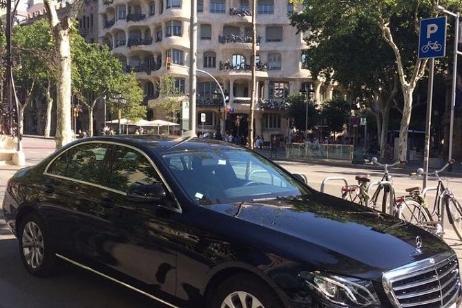 8-Hour Barcelona Private Tour - Park Güell and Casa Vicens in Gràcia
