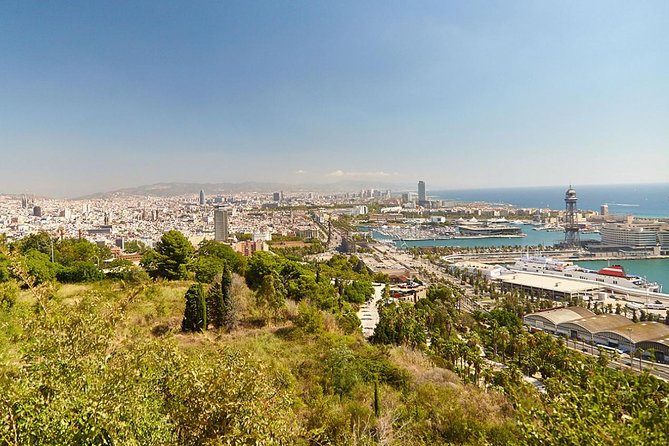 8 hours Barcelona Highlights Private tour - A useful choice for cruise and airport schedules