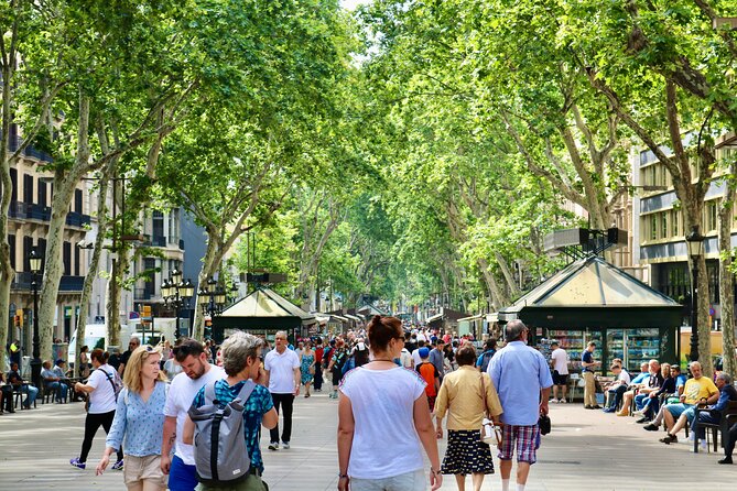 All about old Barcelona (tasting included) - Plaça del Rei and the Roman layer