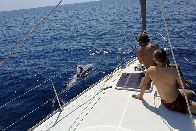 Authentic Barcelona Sailing Tour with Swim & Drinks - What you see from the Mediterranean