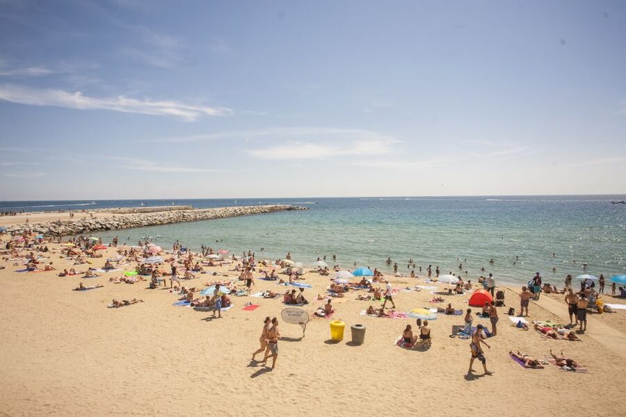 Barcelona: 2-Hour City Sights Guided Segway Tour - Born, the Gothic Quarter, and older Barcelona