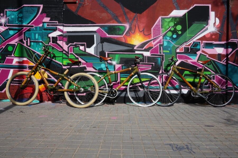Barcelona: 3.5-Hour Street Art Tour by Bamboo Bike - The guide makes the difference