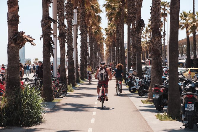 Barcelona 3-hour Bike or E-Bike Tour: Highlights and Hidden Gems - Plaça del Rei and Barcelona’s medieval center
