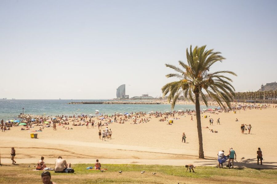 Barcelona: 3-Hour Segway Sightseeing Tour - The Olympic Port and the beach route