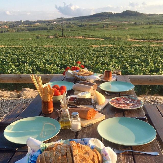 Barcelona: 3 Penedes Wineries with Hotel Pick-up and Lunch - Key points to know before booking