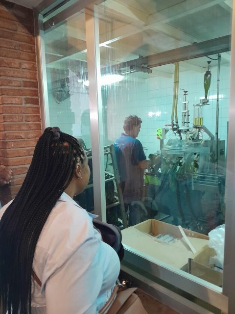 Barcelona: 3 Penedes Wineries with Hotel Pick-up and Lunch - First stop: a biodynamic winery with nine generations behind it