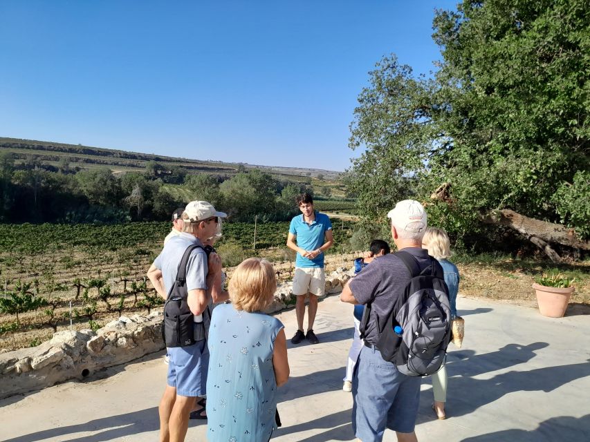 Barcelona: 3 Penedes Wineries with Hotel Pick-up and Lunch - Second stop: lunch at Giró del Gorner