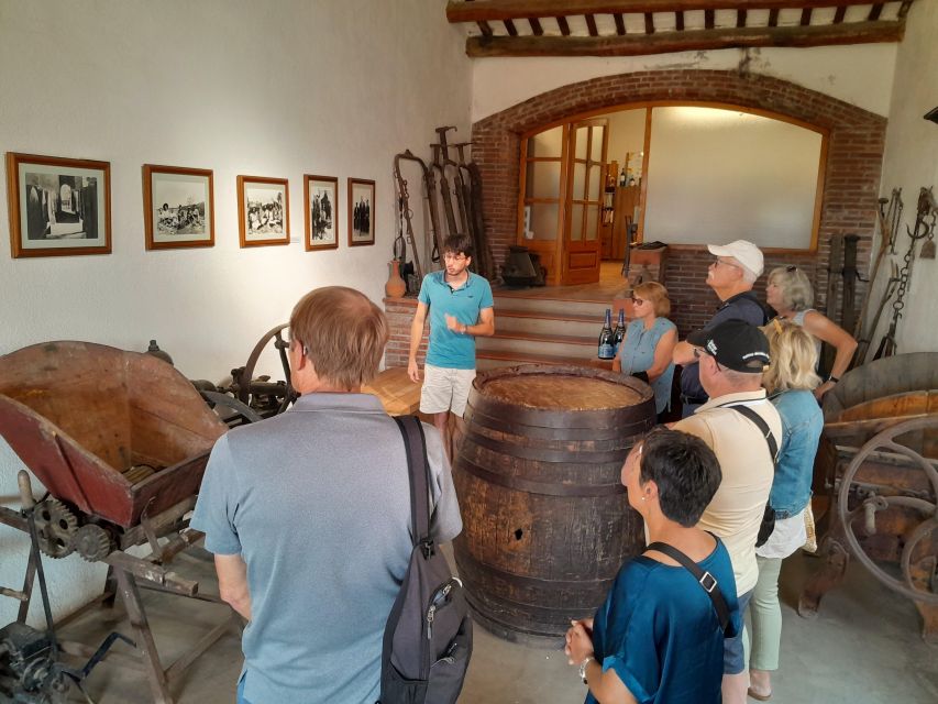 Barcelona: 3 Penedes Wineries with Hotel Pick-up and Lunch - Is $206 a fair price?
