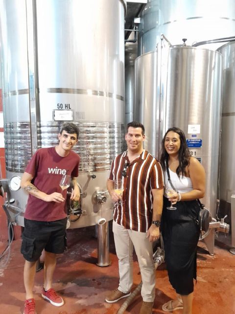 Barcelona: 3 Penedes Wineries with Hotel Pick-up and Lunch - Who should book this day