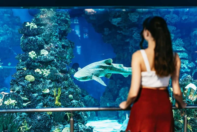 Barcelona Aquarium: Entry Ticket - FAQ