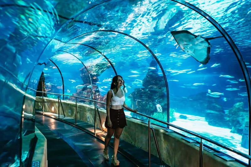 Barcelona Aquarium: Entry Ticket - Planeta Aqua for Hands-On Learning