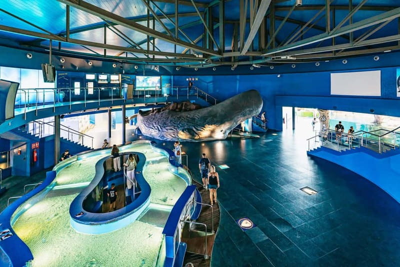 Barcelona Aquarium: Entry Ticket - Family Facilities and Practical Comfort