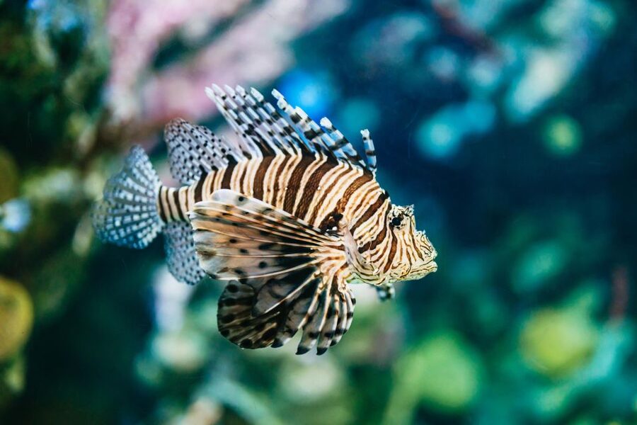 Barcelona Aquarium: Entry Ticket - Timing Your Visit in Barcelona