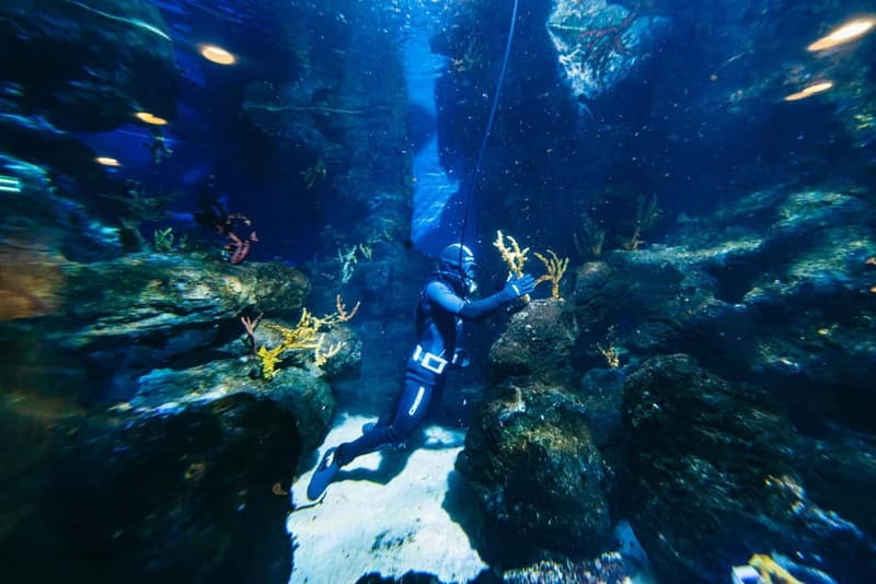 Barcelona Aquarium: Entry Ticket - Is the $31 Ticket Good Value?