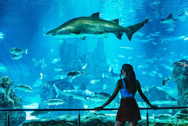 Barcelona Aquarium: Entry Ticket - Who Will Enjoy This Aquarium Most?