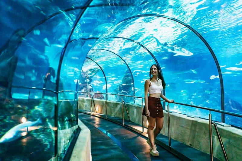 Barcelona Aquarium: Entry Ticket - Should You Book LAquàrium de Barcelona?