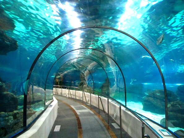 Barcelona Aquarium Skip the Line Ticket - Barcelona Aquarium at a glance