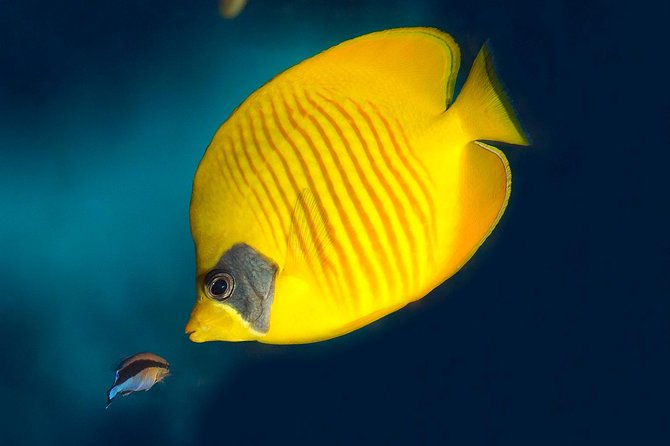 Barcelona Aquarium Skip the Line Ticket - How the timed ticket really works