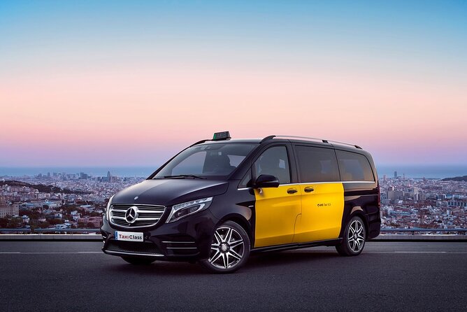 Barcelona Arrival Cruise Port to Airport private transfer - Vehicle size, luggage, and family needs