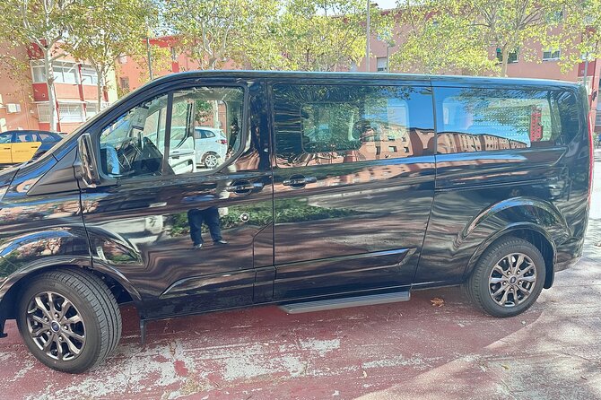 Barcelona Arrival Private Transfer Cruise Port to City Center - What the driver experience is like