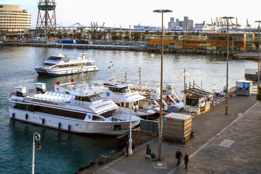 Barcelona: Boat Tour in Las Golondrinas - Who should take this cruise?