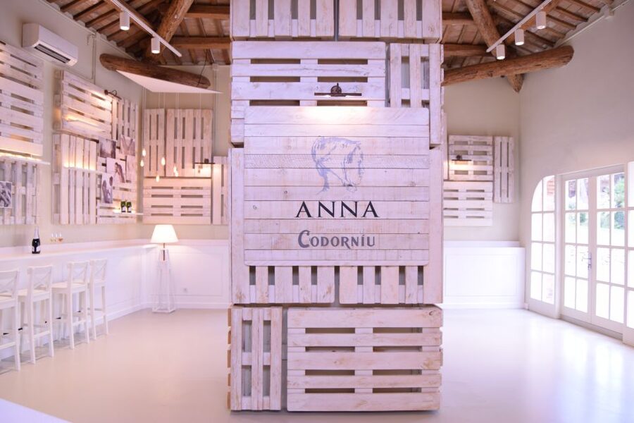 Barcelona: Casa Codorníu Guided Tour with Cava Tastings - The museum, gardens, and Anna’s story
