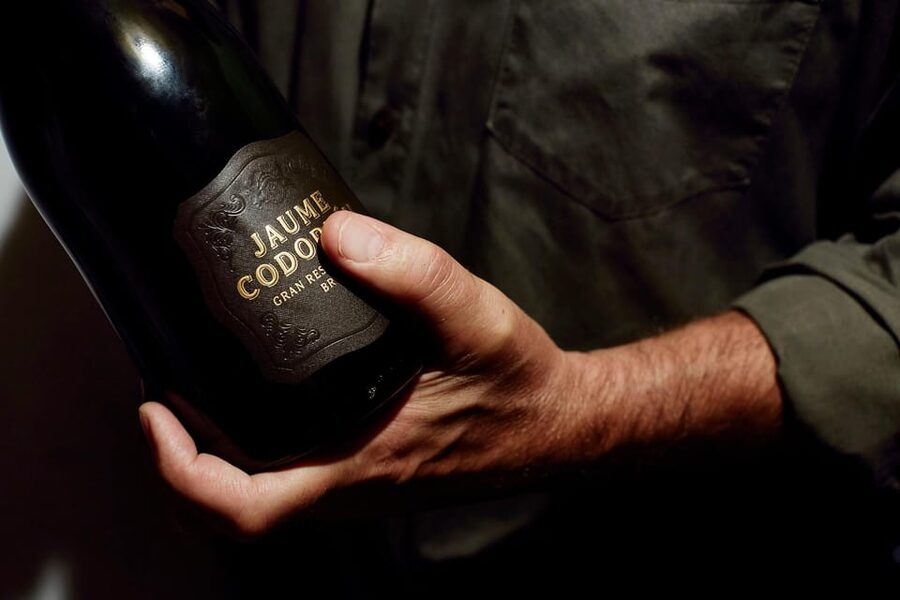 Barcelona: Casa Codorníu Guided Tour with Cava Tastings - Three cavas and three chocolates