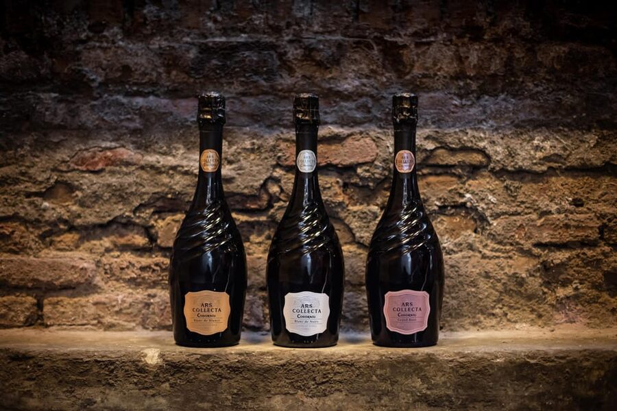 Barcelona: Casa Codorníu Guided Tour with Cava Tastings - Language, timing, and practical planning