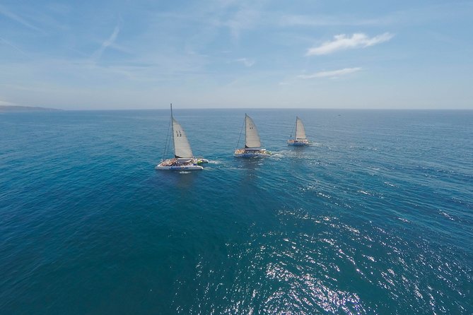 Barcelona Catamaran Party Tour For Young People - The Mediterranean swim stop