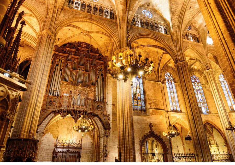 Barcelona Cathedral: Ticket, Guided Tour and VR Experience - The cloister, geese, and Saint Lucia’s chapel