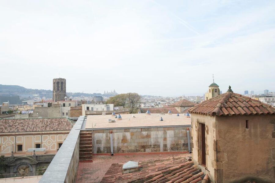 Barcelona Cathedral: Ticket, Guided Tour and VR Experience - The rooftop and Barcelona from above