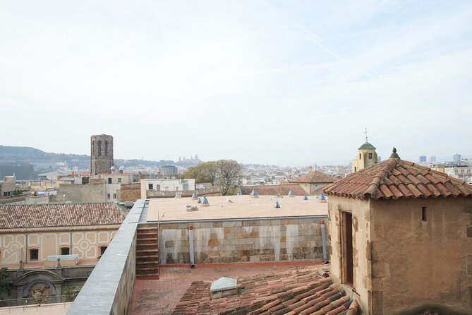 Barcelona Cathedral: Ticket, Guided Tour, Terrace + VR Experience - Guide quality and group size