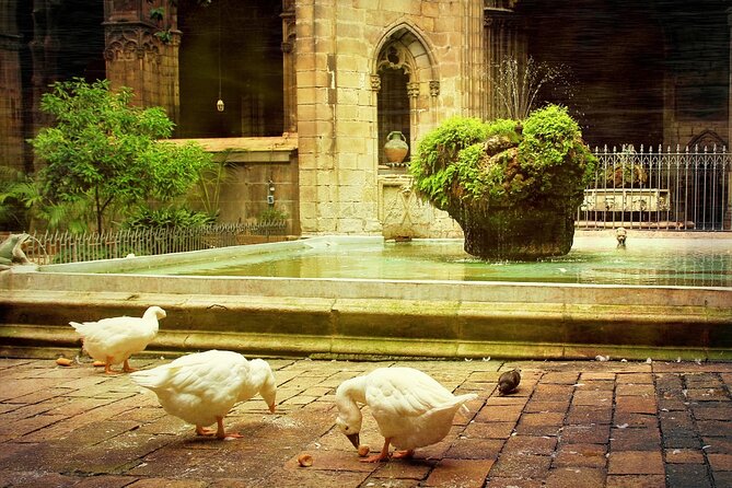Barcelona Cathedral: Ticket, Guided Tour, Terrace + VR Experience - Is $31.32 a fair price?