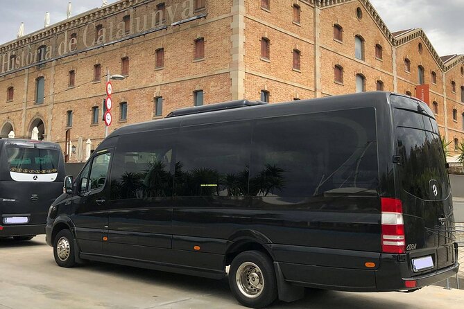 Barcelona City Private Tour 4 hours (DE 2 to 16 passengers) - The National Art Museum and the Magic Fountain view