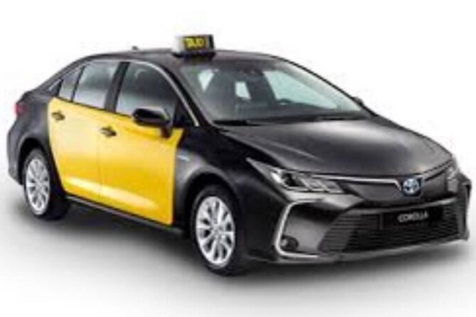 Barcelona City to Cruise Port Private Transfer - What the 30-minute ride is like