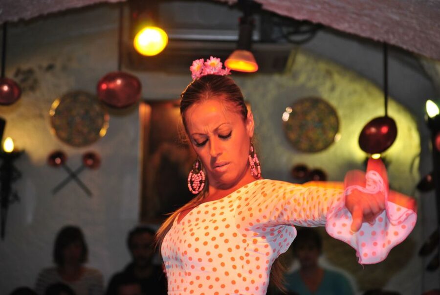 Barcelona: City Tour & Flamenco Show with Wine & Tapas - Santa Maria del Mar and the port district
