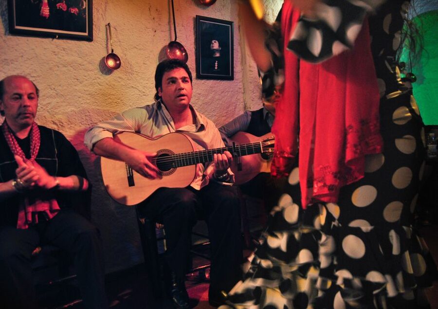 Barcelona: City Tour & Flamenco Show with Wine & Tapas - What the $141 price includes