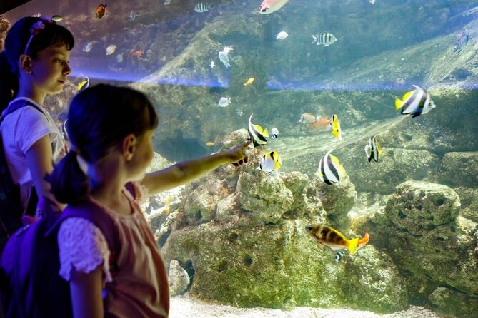 Barcelona City Tour Hop-On Hop-Off and Aquarium - Audio, access, and the small practical details