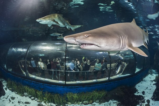 Barcelona City Tour Hop-On Hop-Off and Aquarium - The green east route along Barcelona’s coast