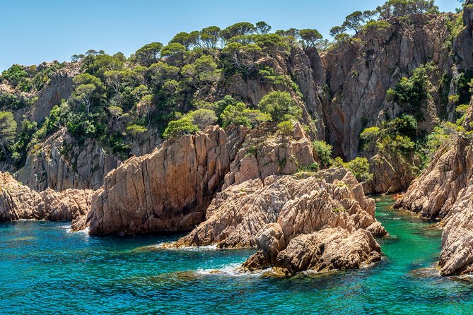 Barcelona: Costa Brava Easy Hike, Snorkel, Cliff-Jump & Meal - Snorkeling in protected coastal water