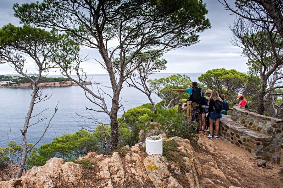 Barcelona: Costa Brava Hiking, Sea Kayaking & Lagoon Dipping - Meeting at Plaça de Catalunya