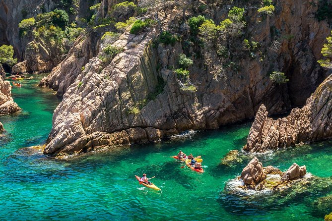 Barcelona Costa Brava Kayak, Snorkel & Cliff Jump Day Tour - What the $102.79 price buys you