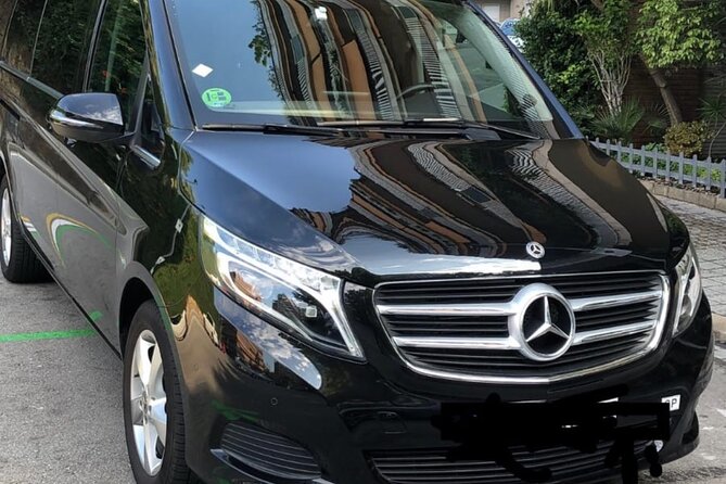 Barcelona Cruise port to barcelona city private transfer - Timing after a cruise ship arrival