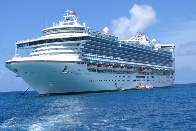 Barcelona Departure Private Transfer From City To Cruise Port - Who will get the most from this transfer?