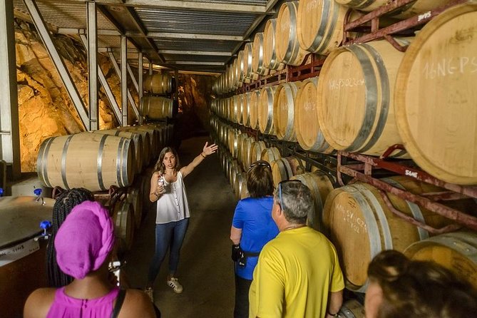 Barcelona eBike Beach Private Tour to Vineyards & Picnic - Guide quality and group comfort