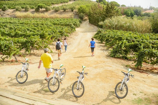 Barcelona eBike Beach Private Tour to Vineyards & Picnic - Who will enjoy this Barcelona day trip
