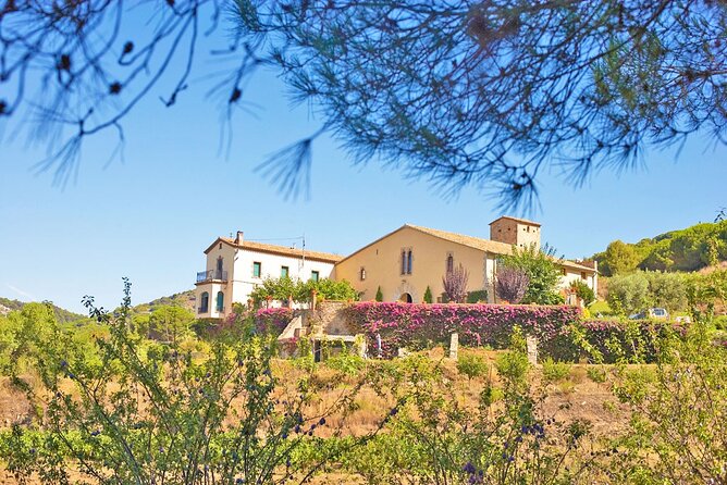 Barcelona eBike Beach Private Tour to Vineyards & Picnic - Should you book this private eBike and wine tour?