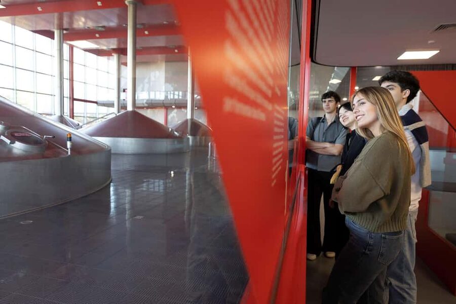 Barcelona: Estrella Damm Brewery Guided Tour with Tasting - What the 90-minute Estrella Damm visit is really about