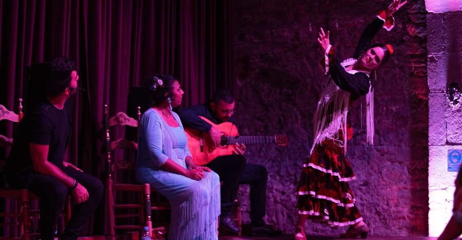 Barcelona: Flamenco Show at Palau Dalmases - Entering Palau Dalmases in El Born