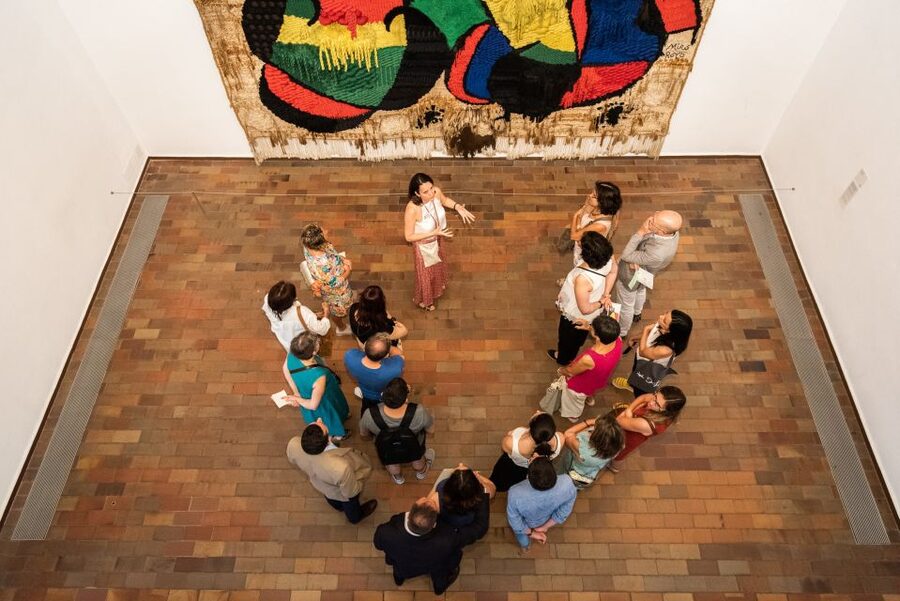 Barcelona: Fundació Joan Miró Skip-the-Line Entry Ticket - Is the skip-the-line ticket good value at $8?